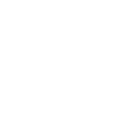 Native iOS & Android App Development